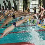 swimmers diving into the pool