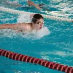 butterfly stroke