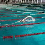 swimmers in the pool